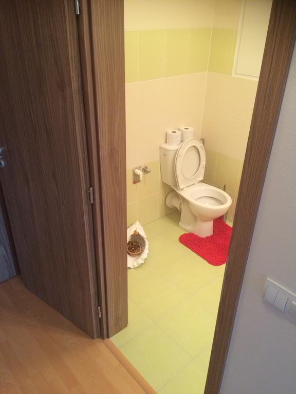 Apartment Fiala Olomouc Værelse billede